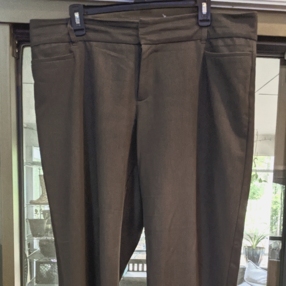 Great gray slacks